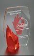 Large Randolf Optical Crystal Award