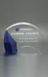 Small Carlisle Award in Optical Crystal