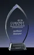 Large Prestige Optical Crystal Award
