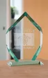 Small Mallory Award in Jade Crystal
