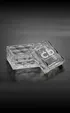 Tresor Box Deep Etched Crystal Paperweight