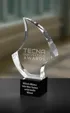 Citrine Award - Medium