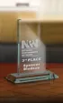 Small Tower Award in Jade Crystal