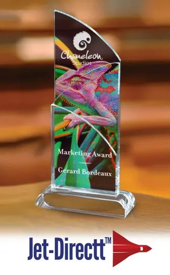 Large Intersect Optical Crystal Award — view 2