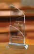 Large Intersect Optical Crystal Award