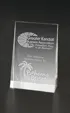 Medium Wedge Award in Optical Crystal