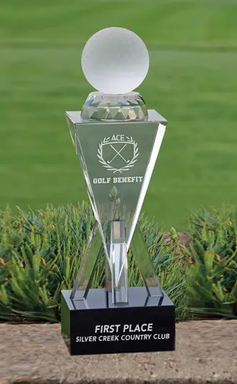 Falmoth Tower Optical Crystal Award