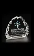 Small Iceberg Glass Award