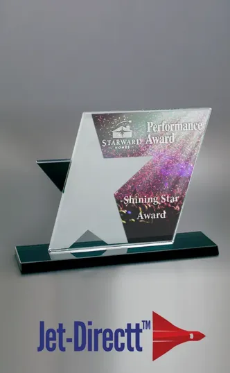 Ebony Star Award in Optical Crystal — view 2