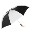 The Executive Umbrella — view 2