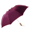 The Executive Umbrella — view 3