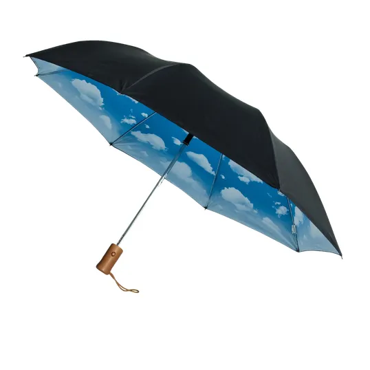 Clouds Umbrella with Blue Sky Underside