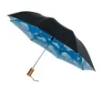 Clouds Umbrella with Blue Sky Underside