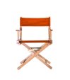 Low Classic Director Chair — view 4