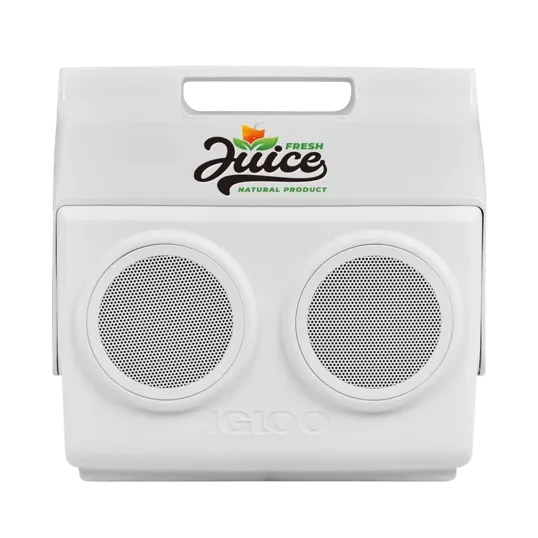 Igloo Kooltunes® 14-Quart Cooler with Bluetooth Speakers