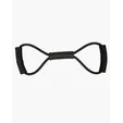 Exercise Band