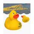 Weighted Racing Duck — view 3