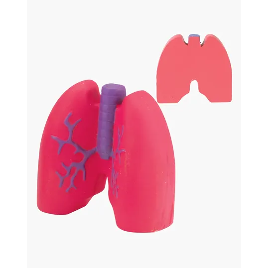 Lungs Shape Stress Ball