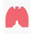 Lungs Shape Stress Ball — view 2