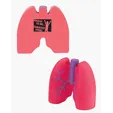 Lungs Shape Stress Ball — view 3