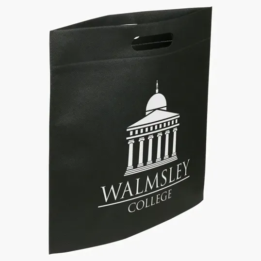 Ariel Echo Large Non-Woven Tote — view 2