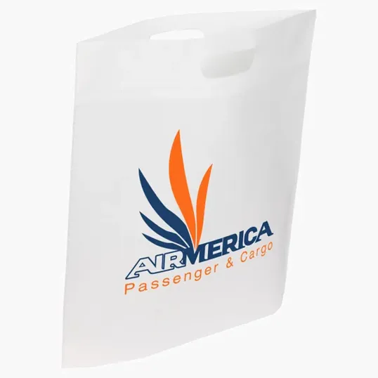 Ariel Echo Large Non-Woven Tote — view 5