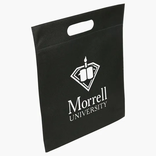 Echo Small Non-Woven Tote — view 2