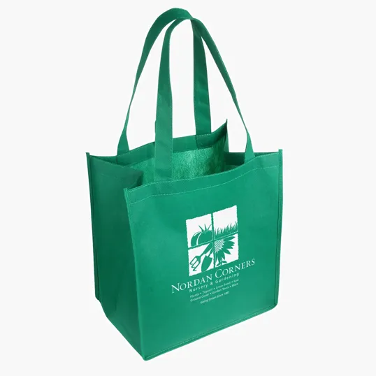 Ariel Sunbeam Non-Woven Shopping Bag — view 4