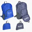 Ariel Trailblazer Collapsible Polyester Backpack