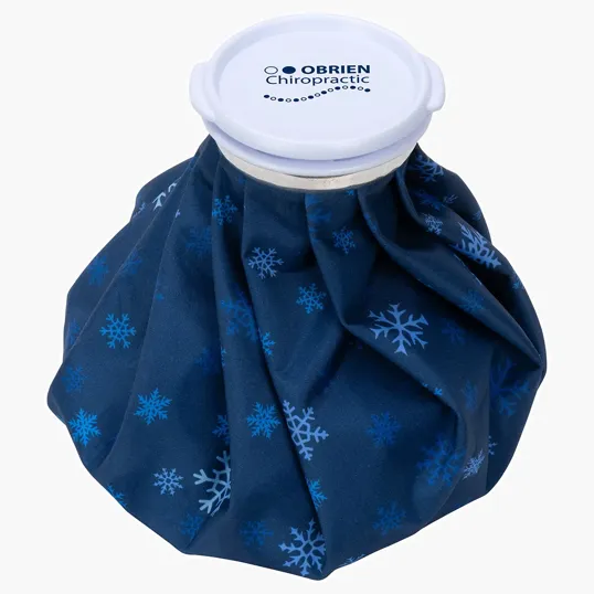 Ariel Chiller Large Ice Bag
