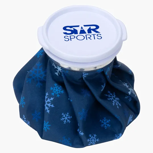 Ariel Chiller Medium Ice Bag