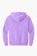 Comfort Colors Lightweight Hooded Sweatshirt — view 20