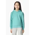 Comfort Colors Youth Lightweight Hooded Sweatshirt