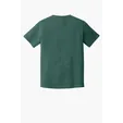 Comfort Colors Heavyweight Ring Spun Tee — view 61