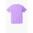Comfort Colors Heavyweight Ring Spun Tee — view 93