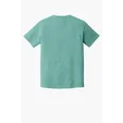 Comfort Colors Heavyweight Ring Spun Tee — view 102