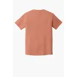 Comfort Colors Heavyweight Ring Spun Tee — view 103