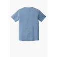 Comfort Colors Heavyweight Ring Spun Tee — view 106