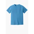 Comfort Colors Heavyweight Ring Spun Tee — view 45