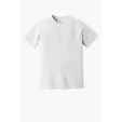 Comfort Colors Heavyweight Ring Spun Tee — view 55
