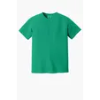 Comfort Colors Heavyweight Ring Spun Tee — view 114