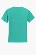 Jerzees Dri-Power 50/50 Cotton/Poly T-Shirt — view 33