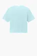 Comfort Colors Women's Heavyweight Boxy Tee — view 16