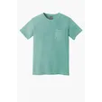 Comfort Colors Heavyweight Ring Spun Pocket Tee — view 38