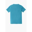 Comfort Colors Heavyweight Ring Spun Pocket Tee — view 110