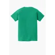 Comfort Colors Youth Heavyweight Ring Spun Tee — view 49