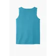 Comfort Colors Heavyweight Ring Spun Tank Top — view 62