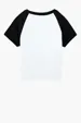 Bella + Canvas Women's Micro Rib Raglan Baby Tee — view 11