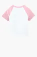 Bella + Canvas Women's Micro Rib Raglan Baby Tee — view 13
