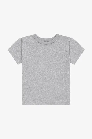 Bella + Canvas Toddler Triblend Short Sleeve Tee